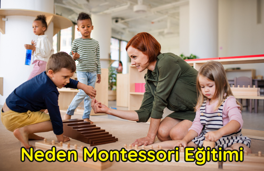 Neden Montessori Eğitimi