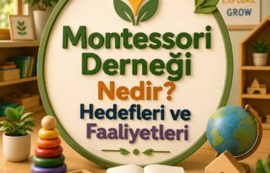 Montessori Derneği Nedir Hedefleri ve Faaliyetleri