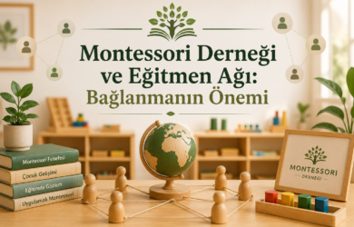 Montessori Derneği ve Eğitmen Ağı Bağlanmanın Önemi