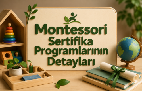 Montessori Sertifika Programlarının Detayları