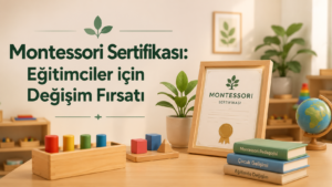 Montessori Sertifikası: Eğitimciler için Değişim Fırsatı 3 Montessori Sertifikası Eğitimciler için Değişim Fırsatı